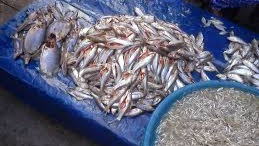 Banyu Sungai Naik Ka Baruh