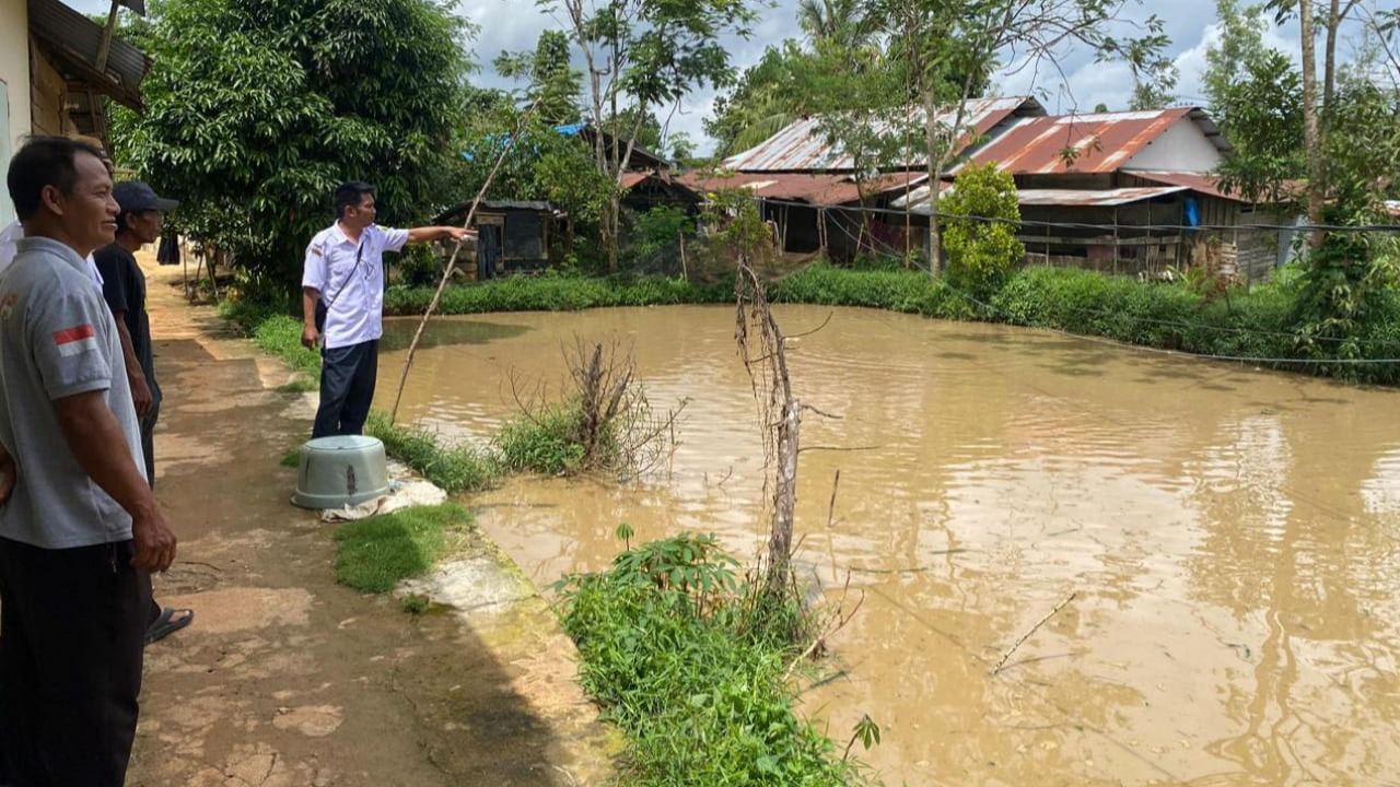 Kepala Desa Kapar Lakukan Pemantauan Tambak Lele Warga Dukung Ketahanan Pangan Nasional