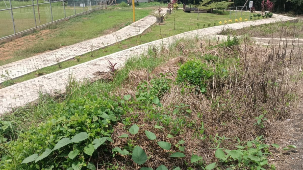 Pembangunan RTH Desa