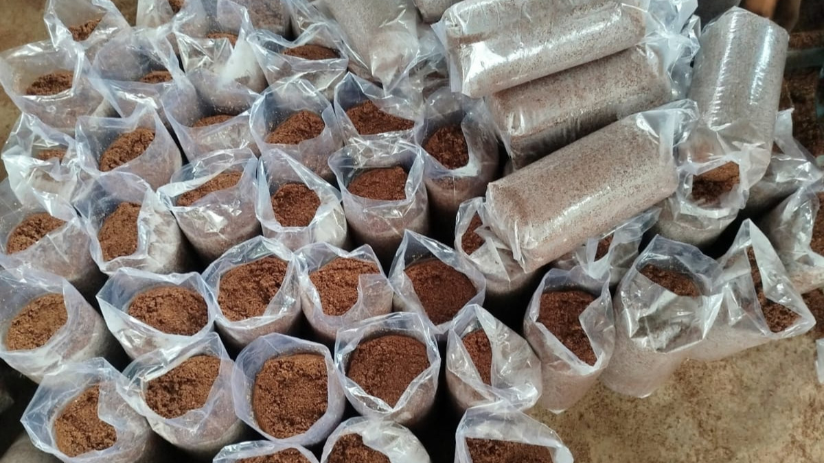 Kegiatan BUMDES BERKAH BERSAMA Desa Bahungin