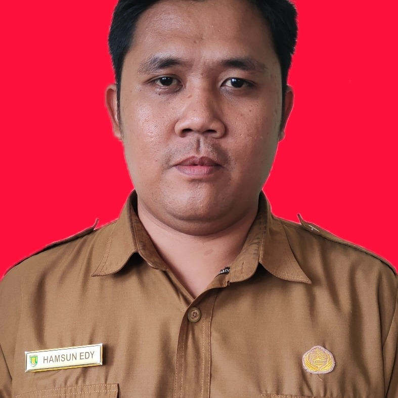 HAMSUN EDY, S.T