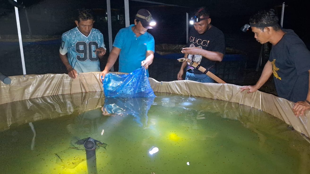 Pelepasan Bibit Ikan Lele CSR Adaro