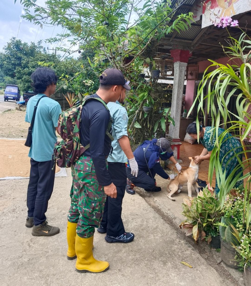 Vaksinasi Rabies Anjing Kucing dan Kera
