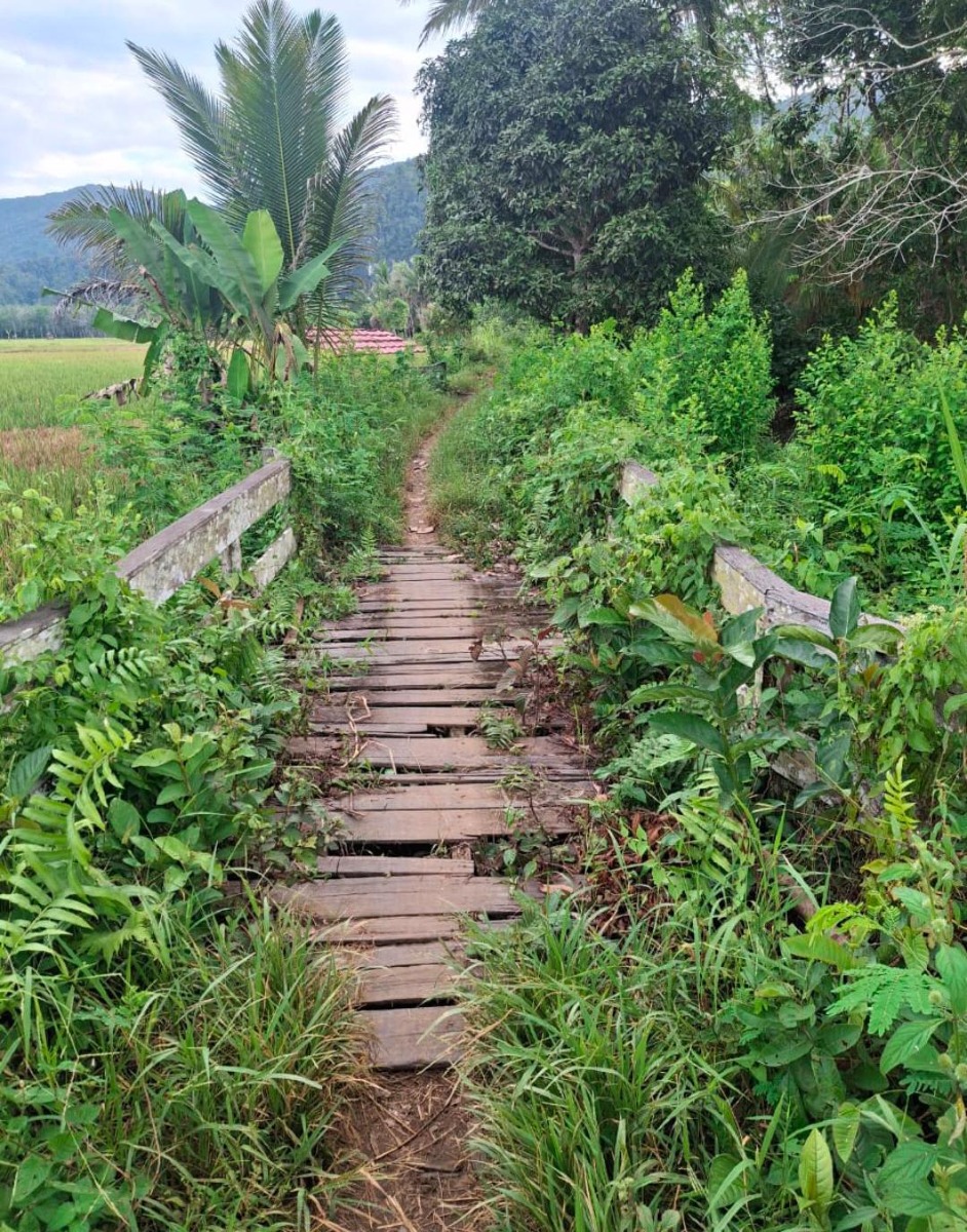 Usulan Rehab Jembatan Pertanian dan Perkebunan