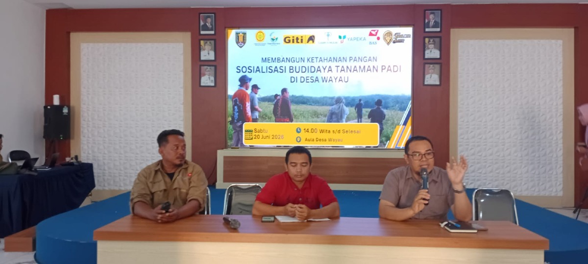 Sosialisasi Budidaya Tanaman Padi di Desa Wayau
