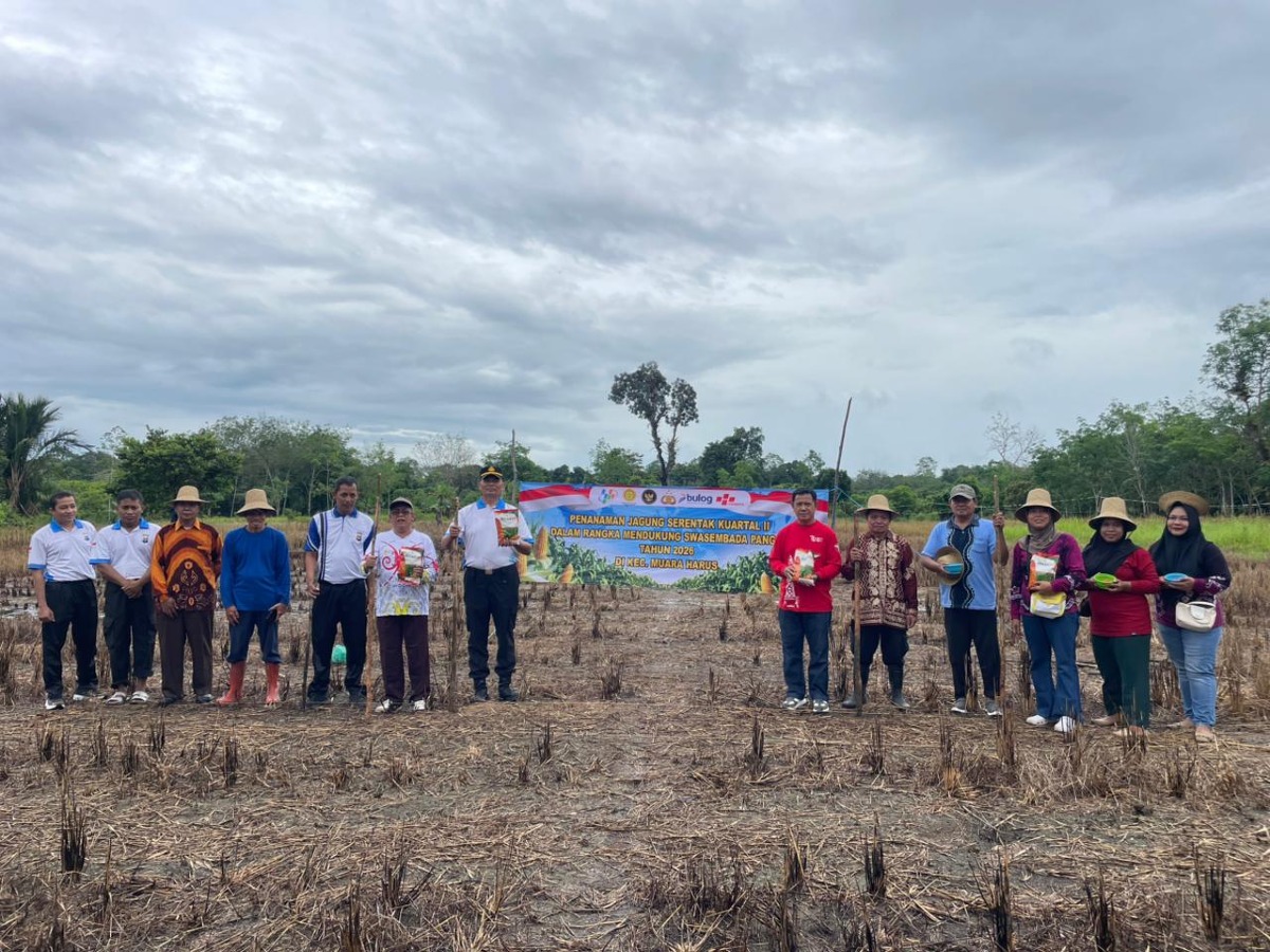 Sinergi Ketahanan Pangan, Kapolsek, Camat, dan Pemerintah Desa Tanam Jagung Bersama Petani