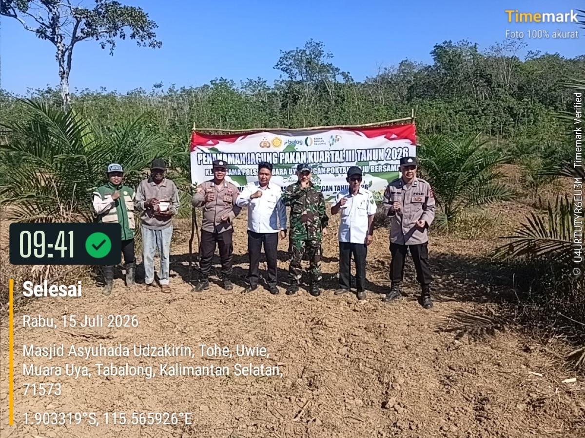 Tanam Jagung kwartal tiga 