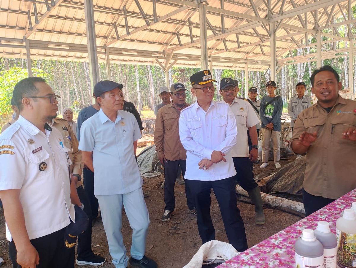 Bupati Tabalong Apresiasi Rumah Belajar Pertanian Wayau, Dorong Lahirnya Inovasi untuk Sejahterakan Petani