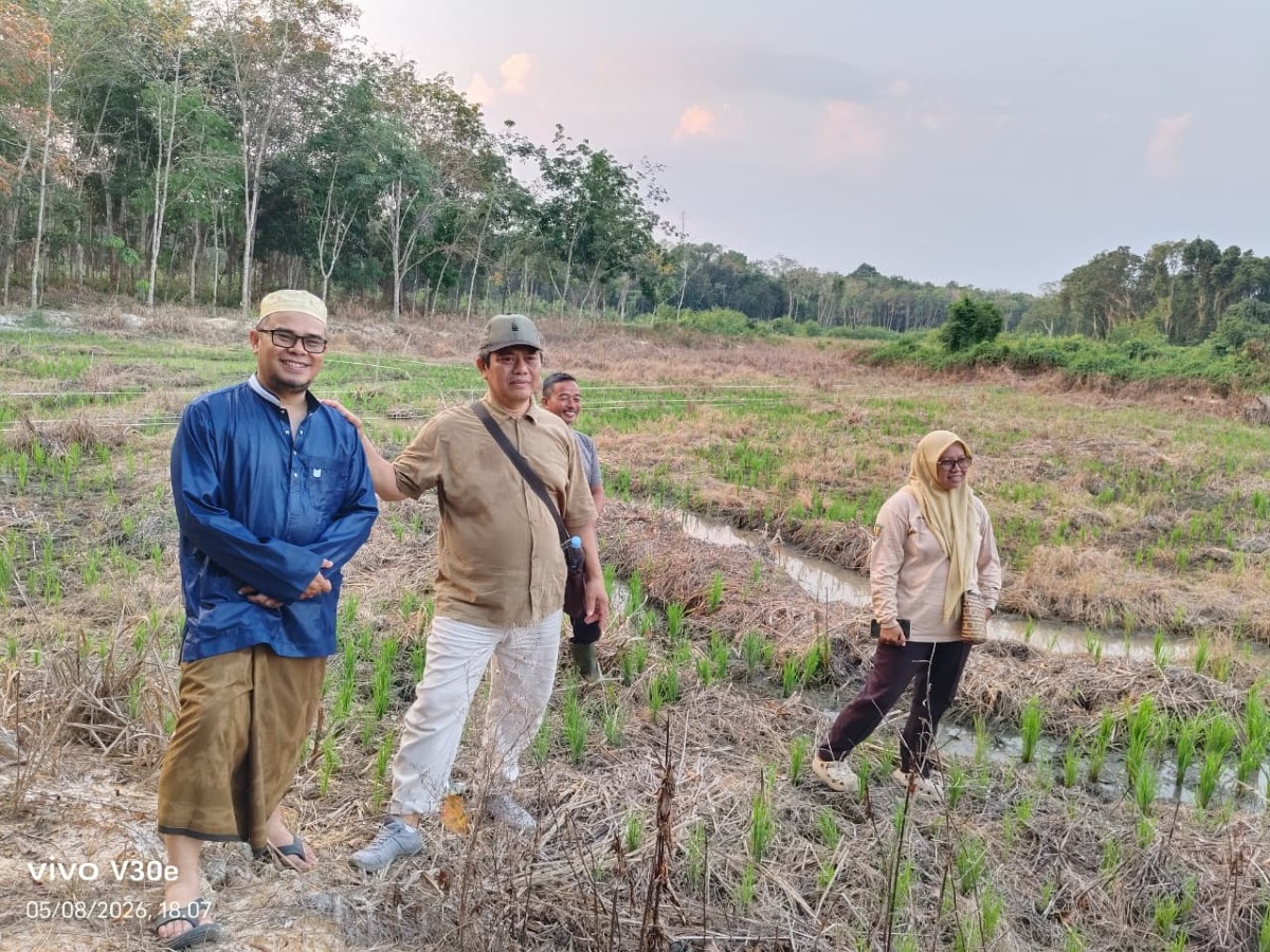 Balai Besar Pelatihan Pertanian Binuang Tinjau CSR Samulung, Dorong Petani Wayau Optimalkan Lahan Meski Hadapi Tantangan Tanah Asam