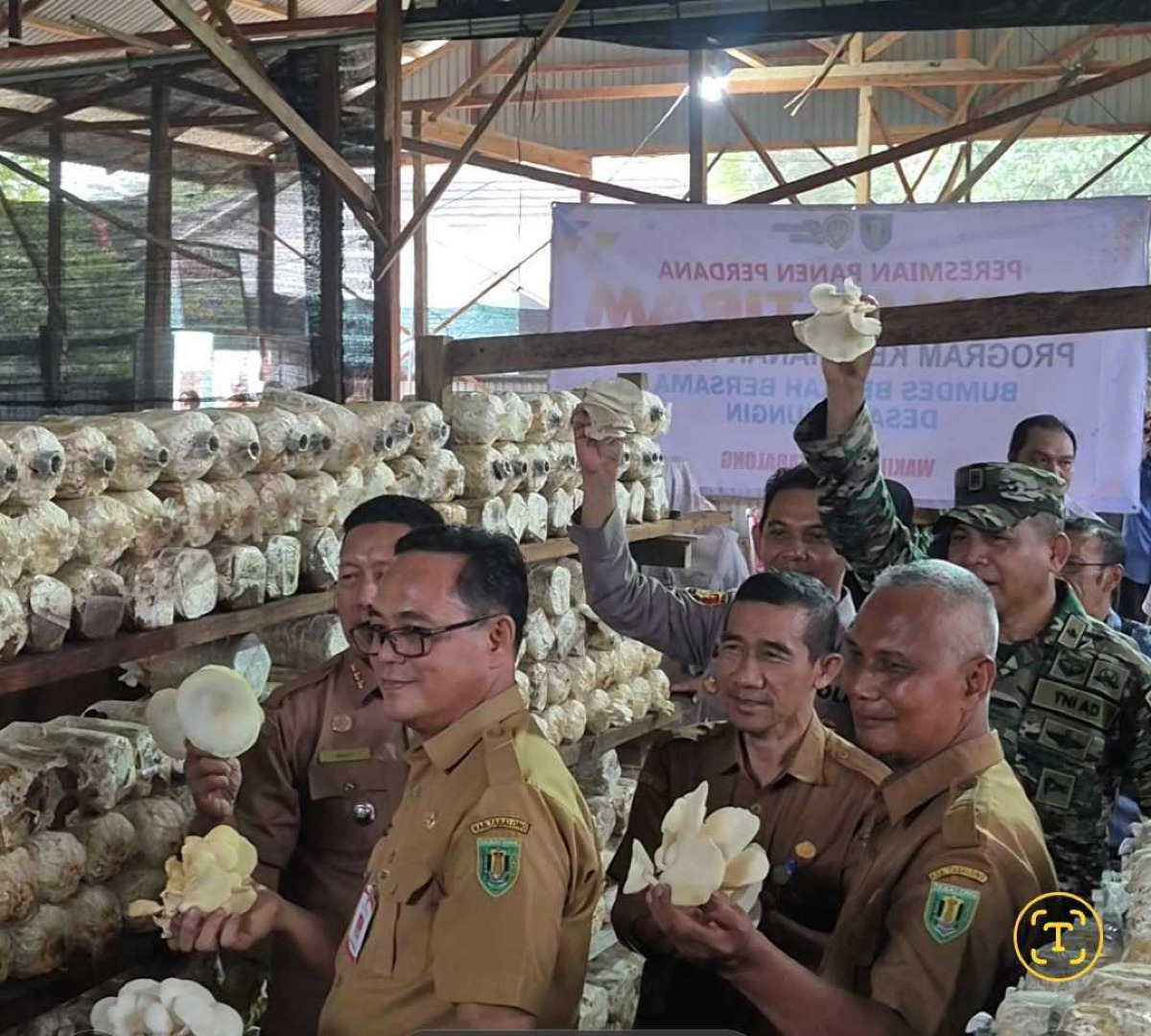 Peresmian panen perdana jamur tiram "BUMDES BERKAH BERSAMA"