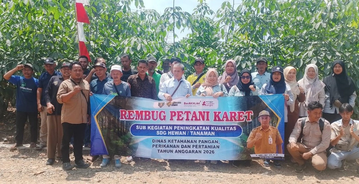 Rembug Petani Karet, Kelompok Tani Wayau Belajar Pengolahan Bibit Unggul ke Desa Masingai