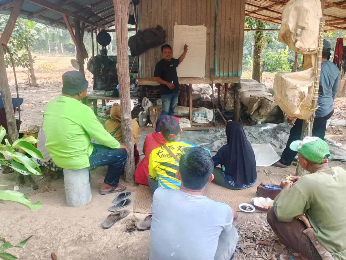 Poktan Serumpun dan Setia Kawan Belajar Membuat Pupuk Nitrogen dari Bahan Alami