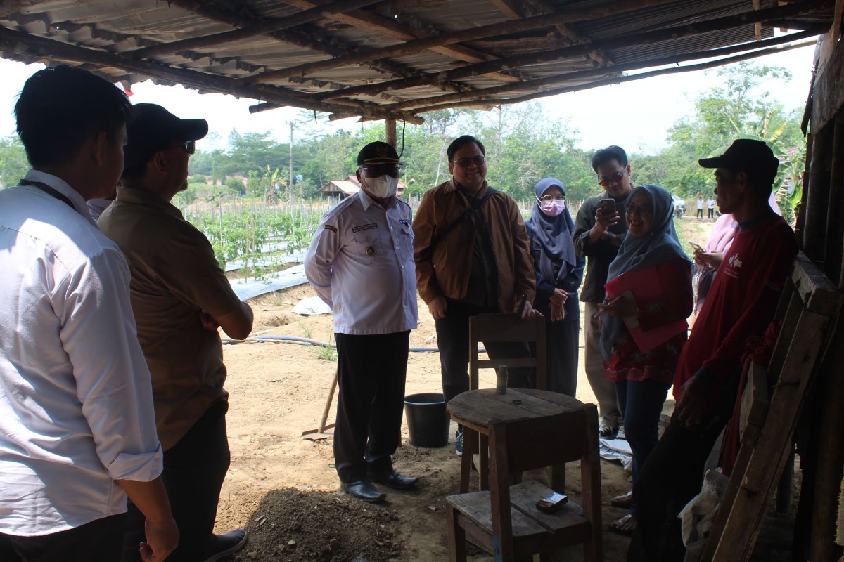 Pengembangan Tiung Tanjung di Desa Uwie di genjot
