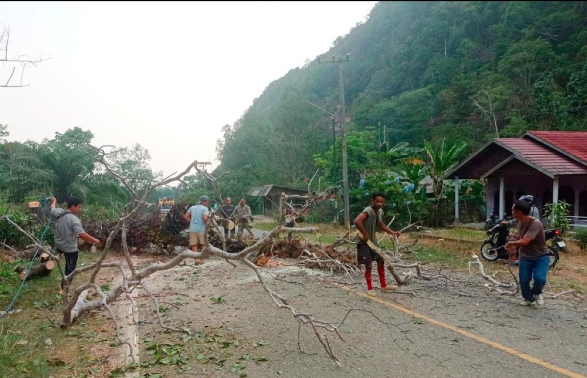 Pembersihan Jalur Lintas Provinsi Desa Garagata