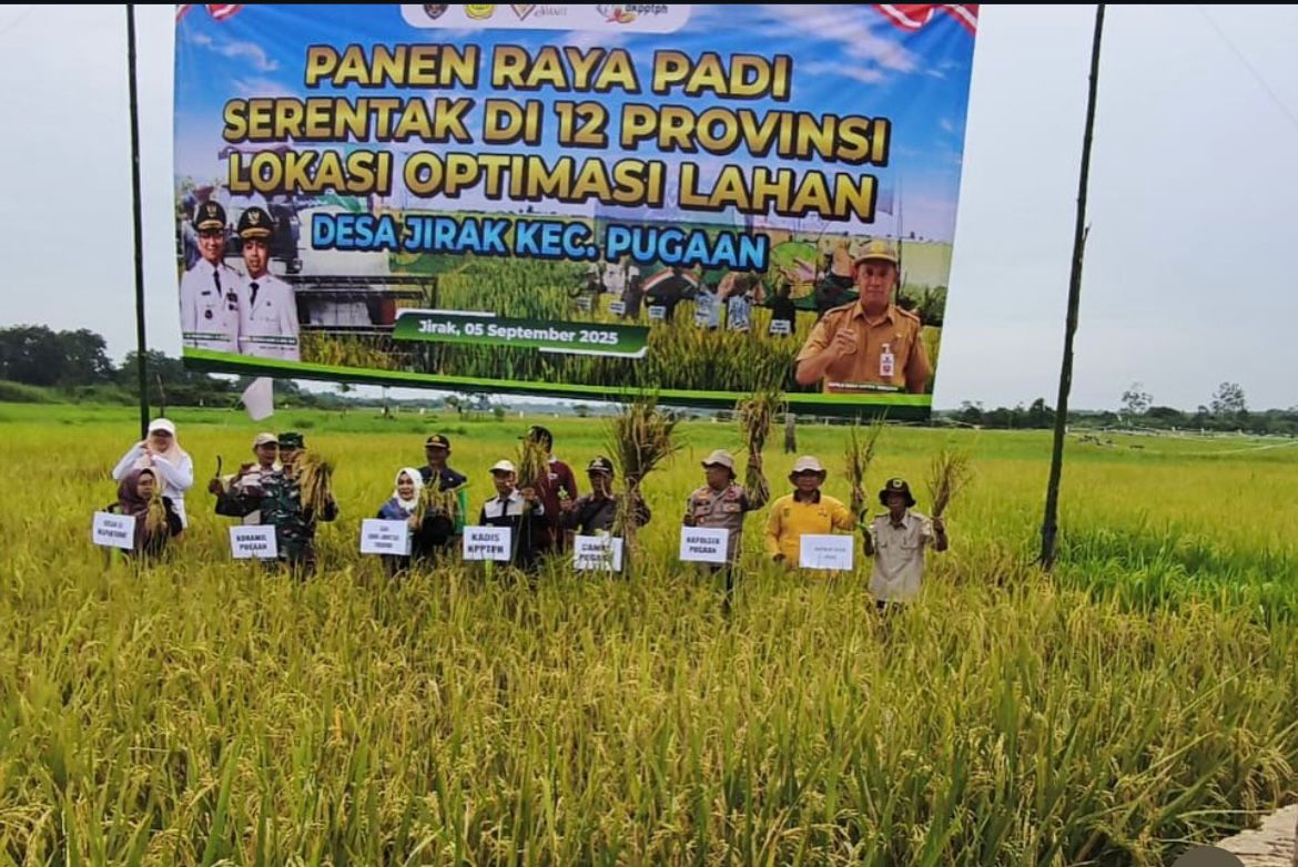 panen raya