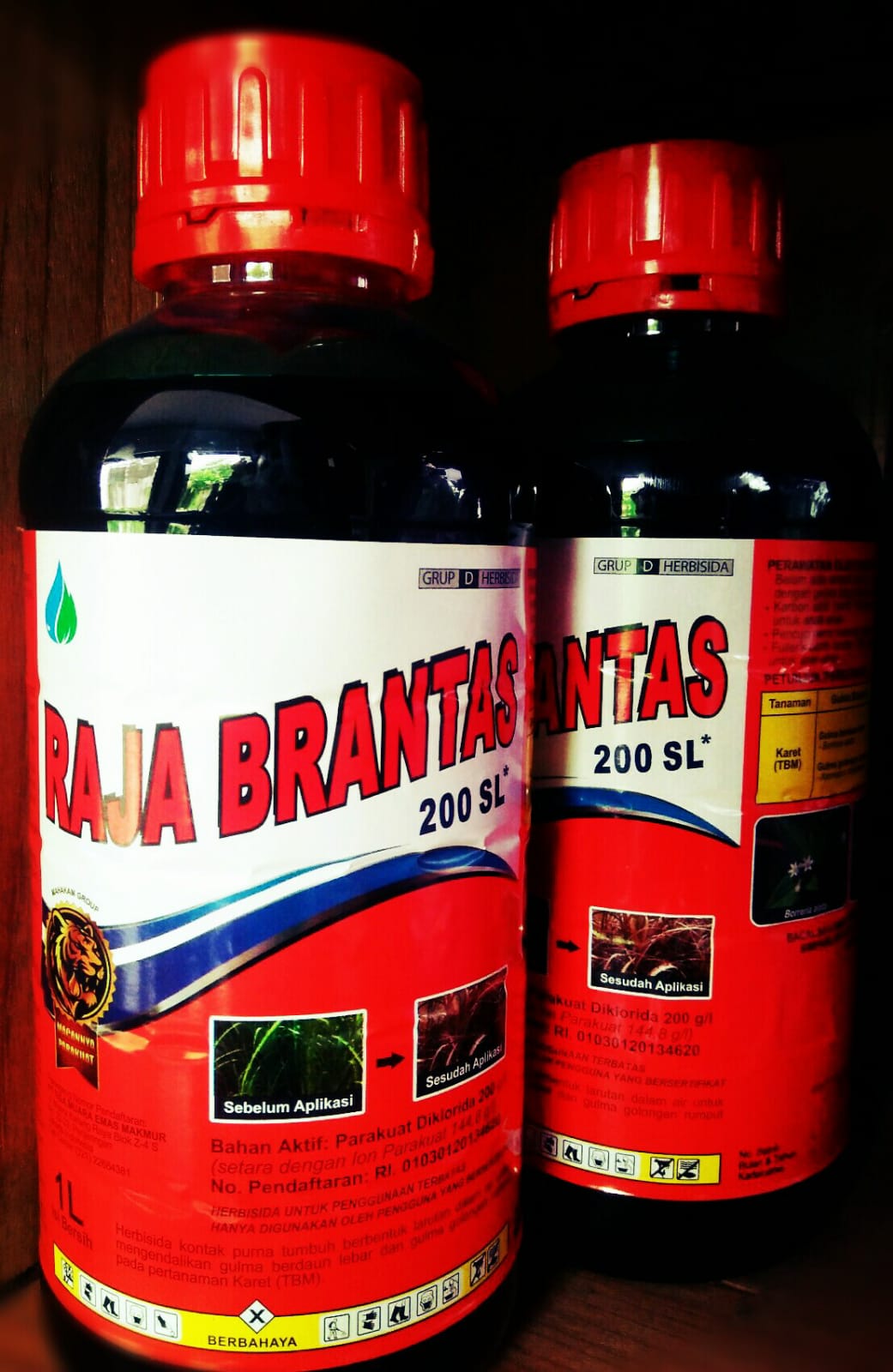 Hibersida Raja Berantas