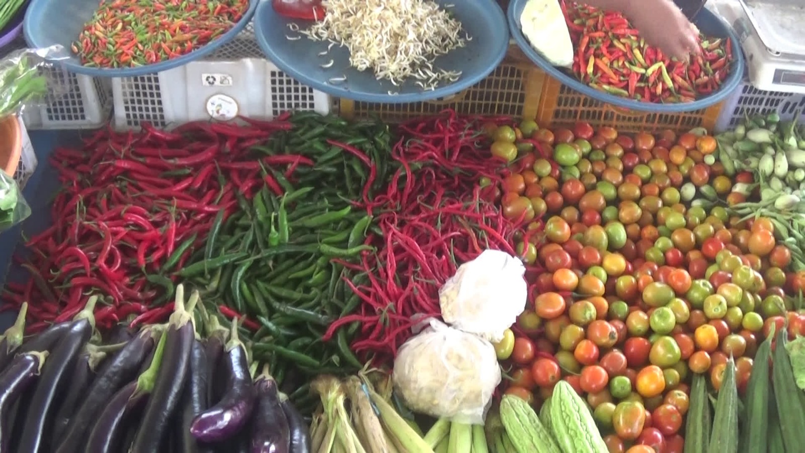 8 Program Unggulan DKPPTPH Tabalong 2026, Perkuat Ketahanan Pangan dan Kesejahteraan Petani