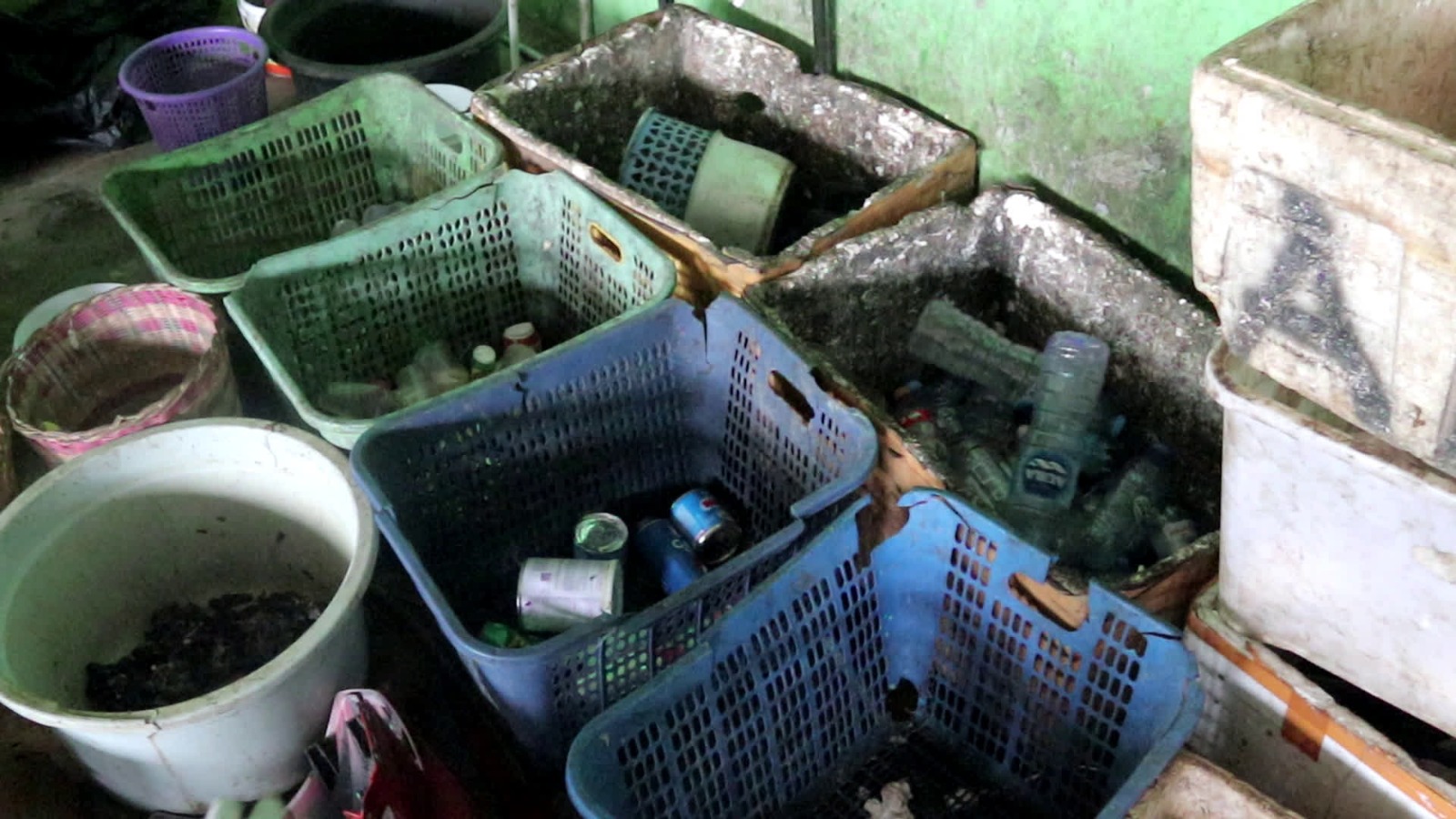 DLH Tabalong Kelola 66% Sampah Warga, Gandeng Pemerintah Desa untuk Atasi Lokasi Sulit Akses