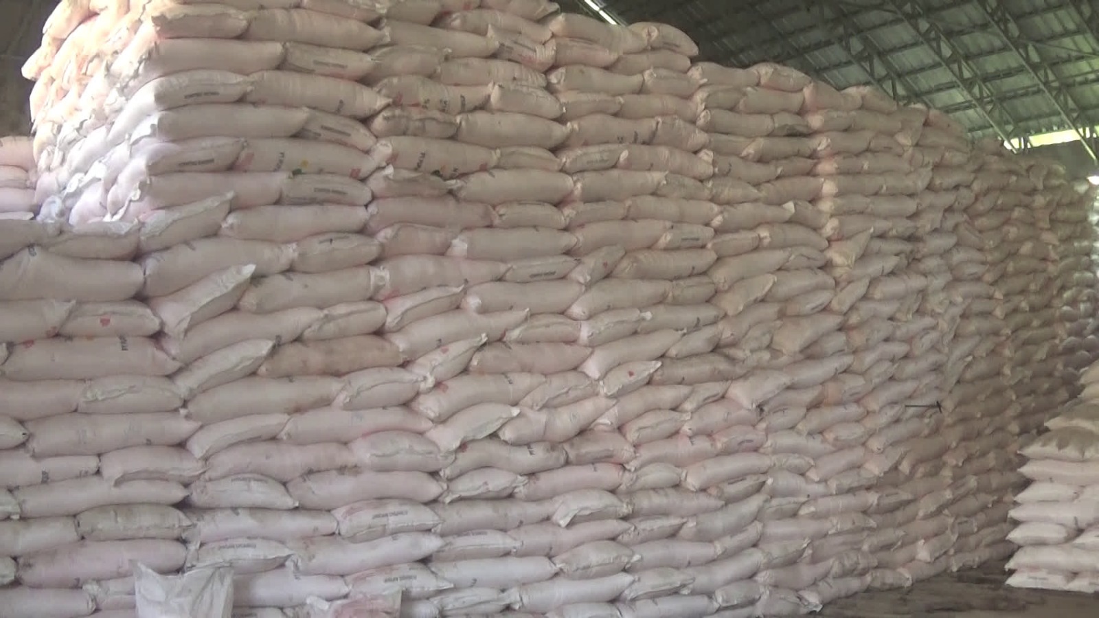 Hasil Pertanian Positif, Produksi Padi Tabalong Tumbuh Signifikan Sepanjang 2025