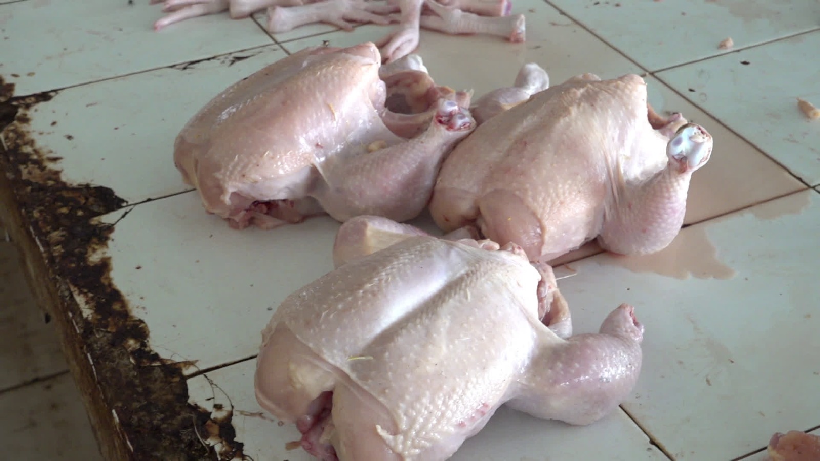 Fluktuasi Harga Ayam Warnai Ramadan, Pemkab Tabalong Pastikan Stok Tetap Aman