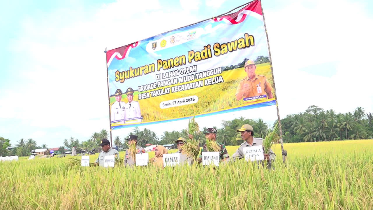 Syukuran Panen di Lahan Oplah 4 Desa Kecamatan Kelua, Hasil Panen Capai 1.650 Ton Gabah