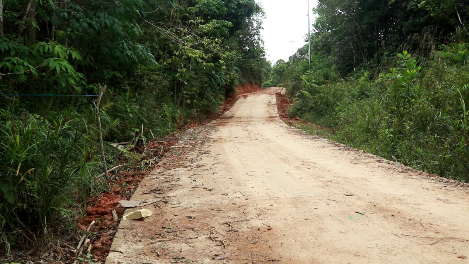Bupati Tabalong Ajak Warga Aktif Laporkan Kerusakan Jalan dan Jembatan Lewat E-Lapor dan TRC