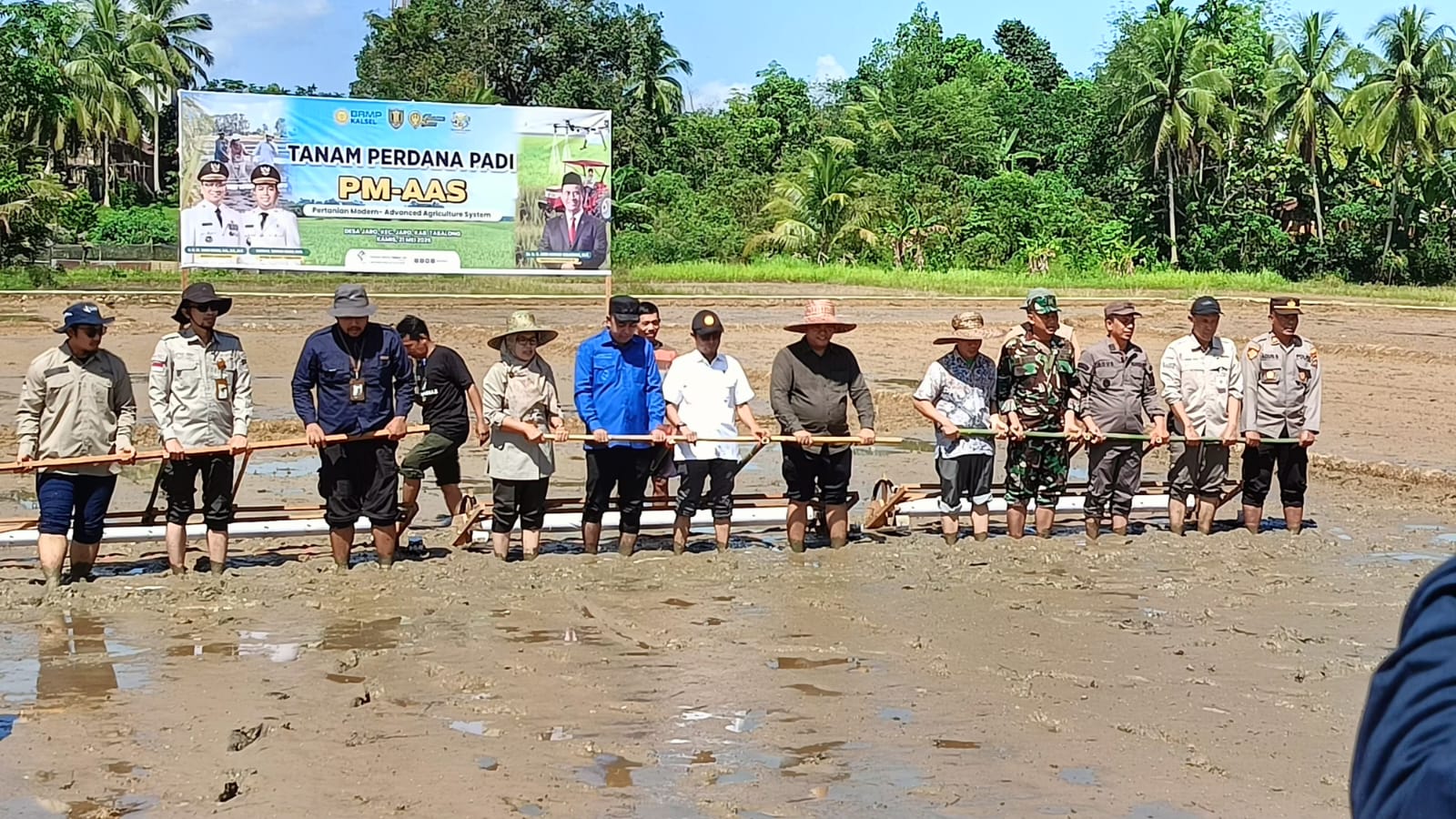 Tanam Perdana Padi PM-AAS (Pertanian Modern - Advance Agriculture System)