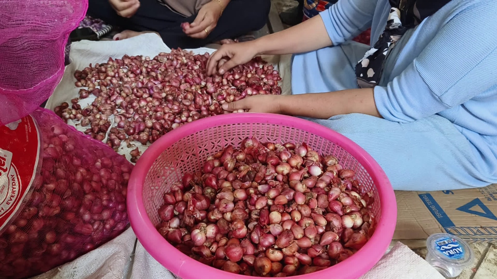 Harga Bawang Merah Tembus Rp70 Ribu per Kilogram