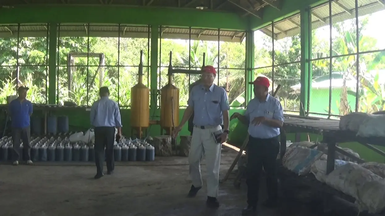 Tawarkan Pembelian Karet Rp34 Ribu per Kilo, Ini Upaya PT Bridgestone dan Pemda