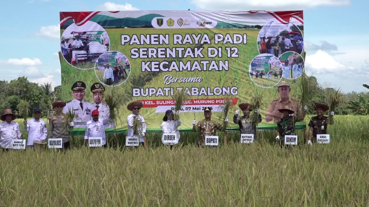 AUTP Mandek, Pertanian di Tabalong Terancam Tanpa Perlindungan Risiko Gagal Panen