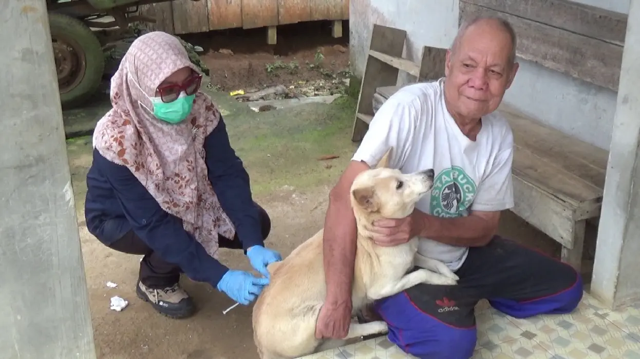 Waspada! Kasus Rabies di Tabalong Naik, 2 Warga Meninggal