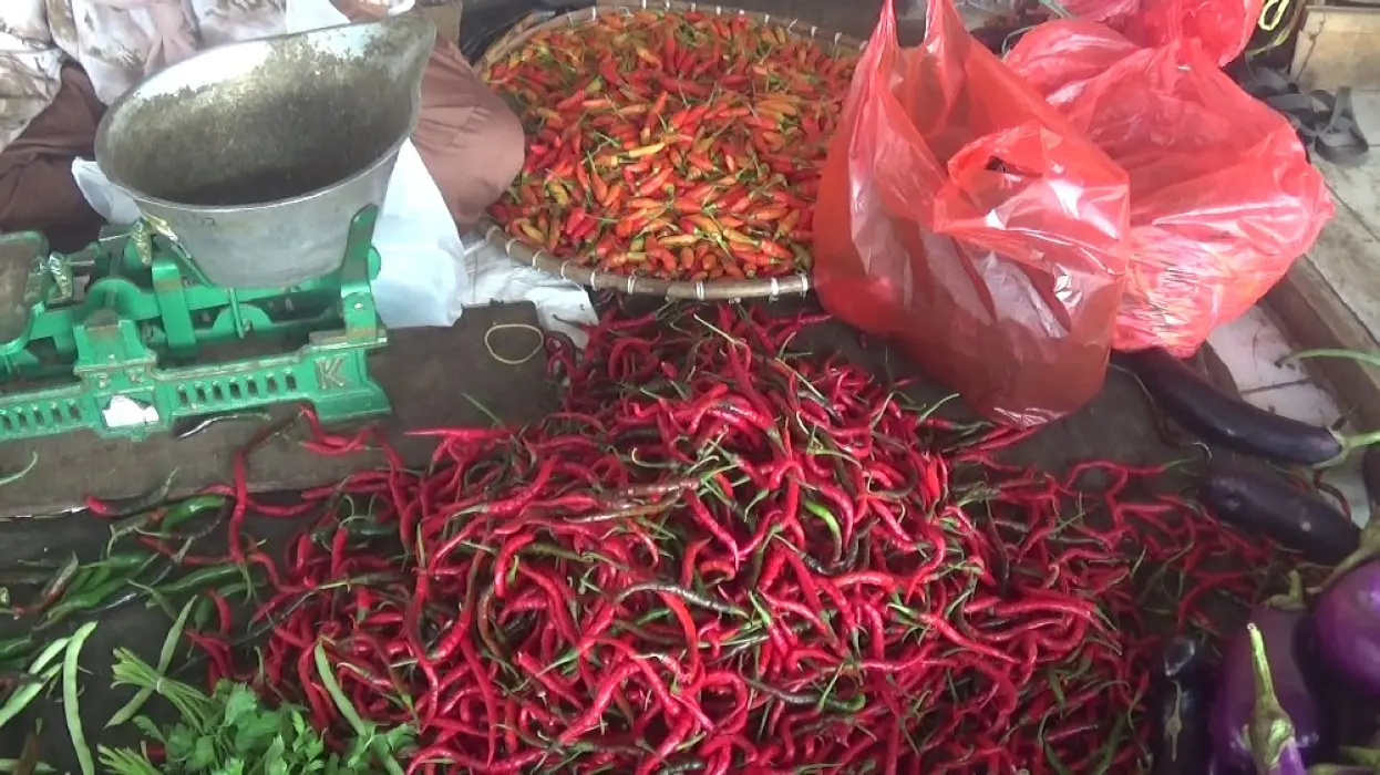Tanaman Terserang Penyakit Jadi Sebab Harga Cabai Naik