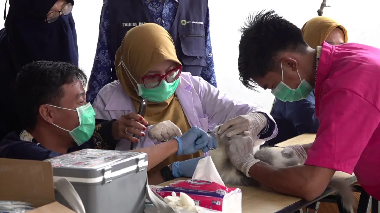 Waspada Kasus Rabies, Disbunnak Sediakan 5.200 Vaksin Gratis, 812 Dosis Sudah Disalurkan