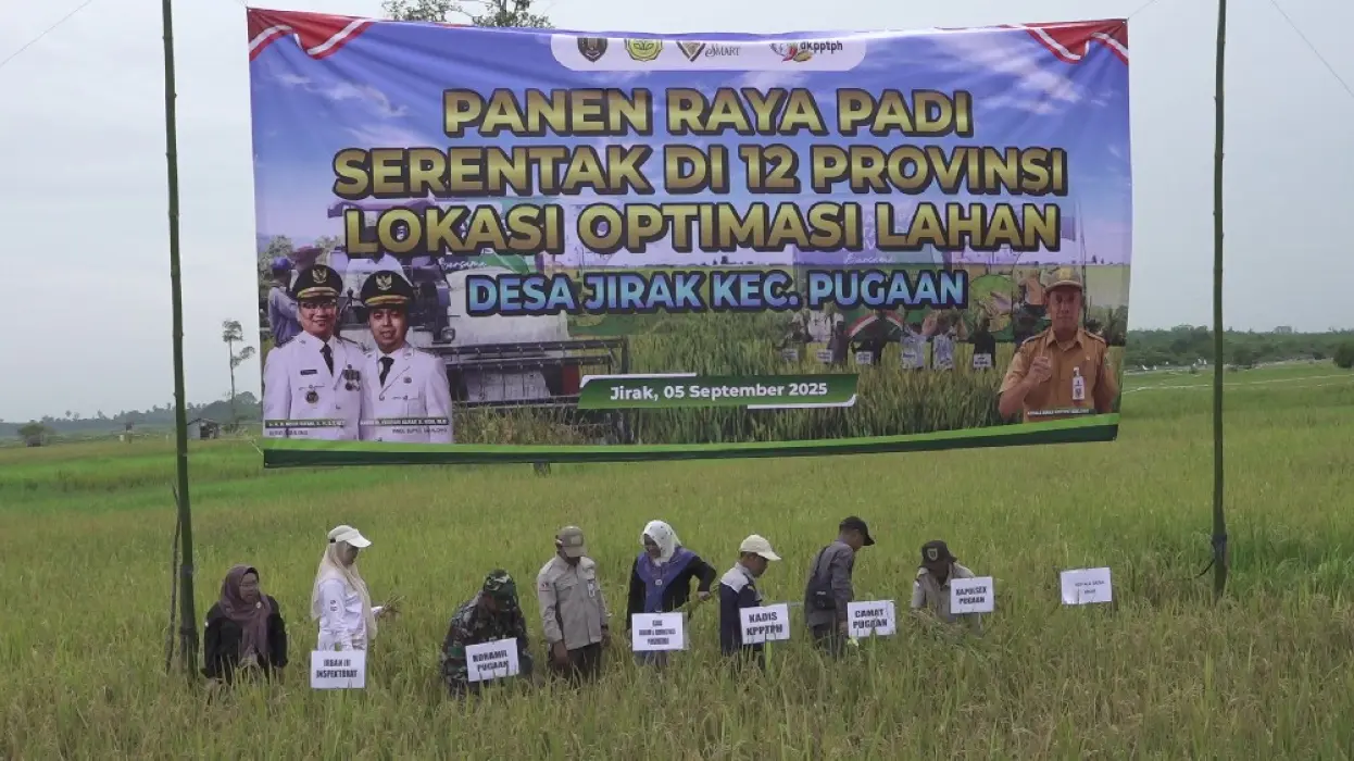 Panen Padi Serentak, Desa Jirak Berpotensi Jadi Lumbung Pangan Baru di Tabalong