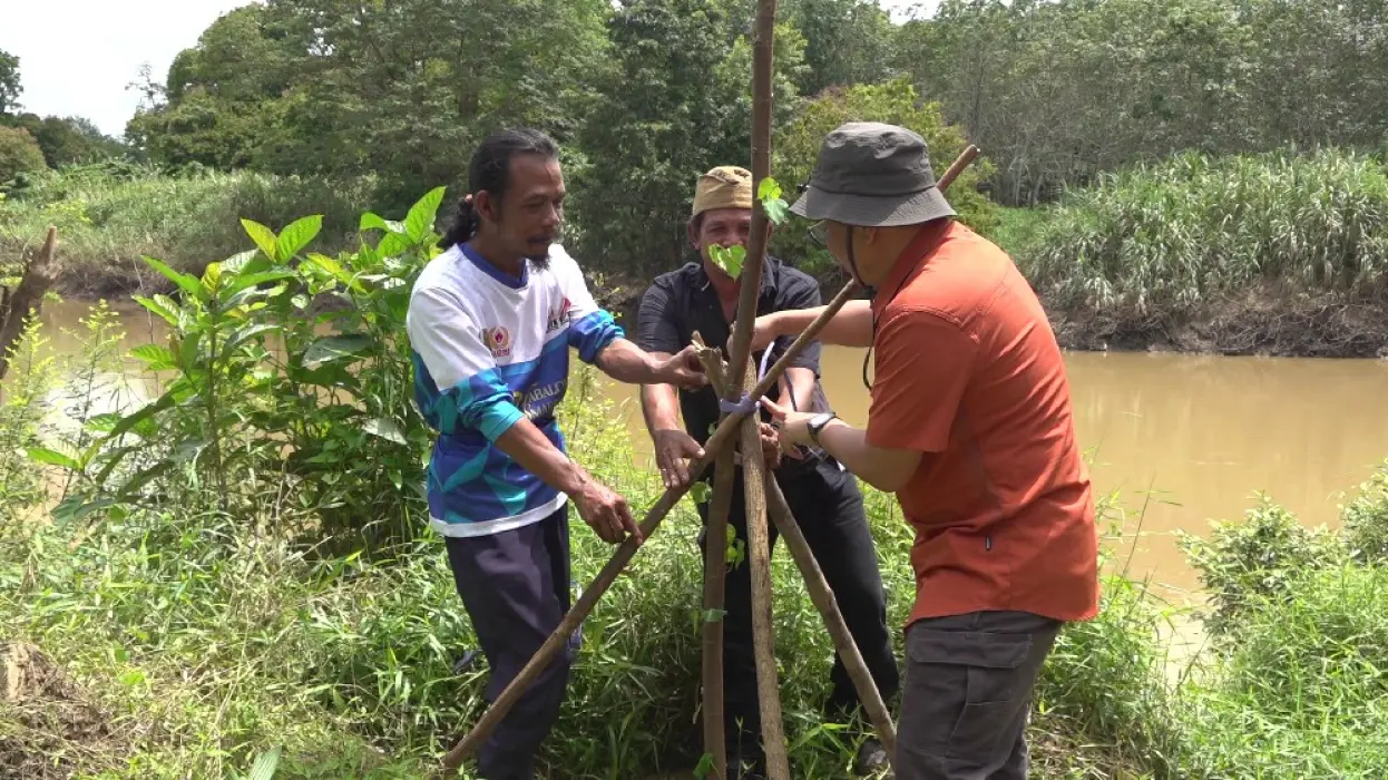 Cegah Abrasi, Kopi Basamut Tanam 50 Pohon Waru di Bantaran Sungai Tabalong