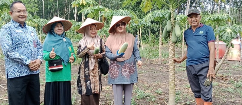 Kunjungan Ibu Bupati ke Kelompok Wanita Tani (KWT) Desa Karangan Putih