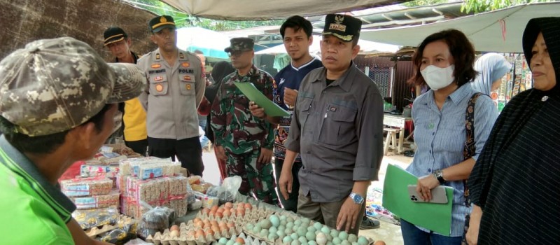 Monitoring Harga Barang Kebutuhan Pokok dan Barang Penting Desa Pasar Panas