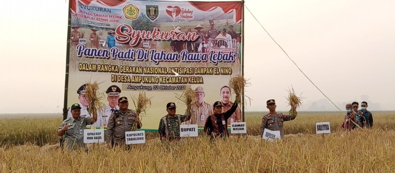 Syukuran Panen Padi di Lahan Rawa Lebak dalam rangka Gerakan Nasional Antisipasi Dampak El Nino di Desa Ampukung Kecamatan Kelua