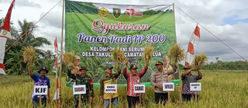 Syukuran Panen Padi IP 200