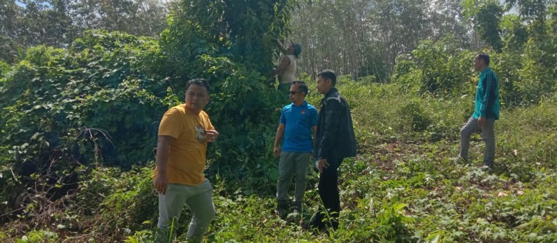 Merintis jalan Kantor camat Baru