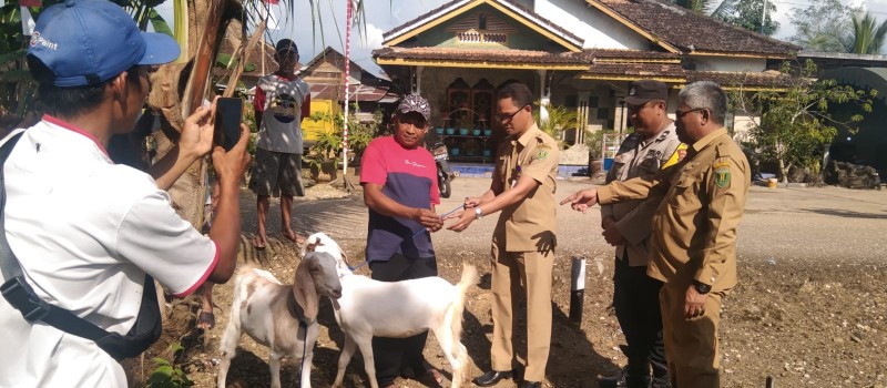 Acara Penyerahan Bantuan Ternak Desa Uwie