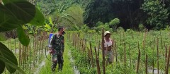 GIAT BABINSA MELAKSANAKAN HAN PANGAN