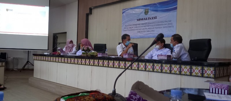 Sosialisasi