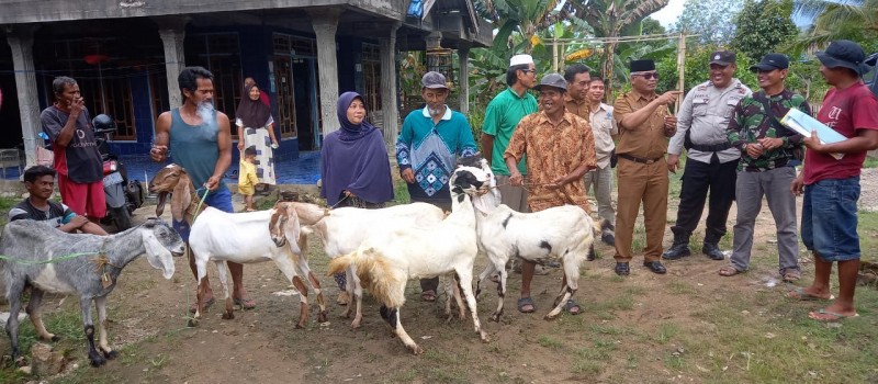 Penyerahan Bantuan Kambing Untuk Masyarakat Desa Uwie
