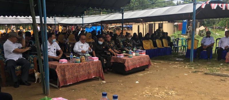 Koordinasi Daerah