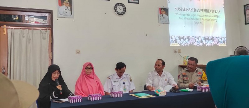 Sosialisasi dan pembentukan perlindungan anak terpadu berbasis masyarakat di Desa Palapi