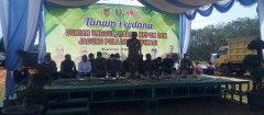 TANAM PERDANA DURIAN UNGGUL, PISANG KEPOK DAN JAGUNG POLA DIVERSIFIKASI