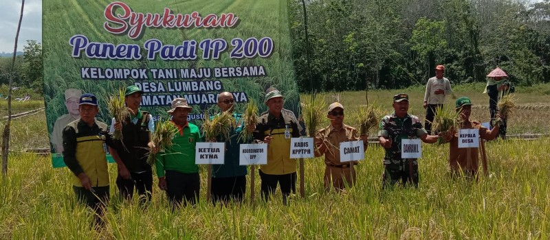 Acara Syukuran panen padi sawah IP 200 akhir MK 2023     di Kelompok tani Maju Bersama Desa Lumbang. Selasa 22 Agustus 2023