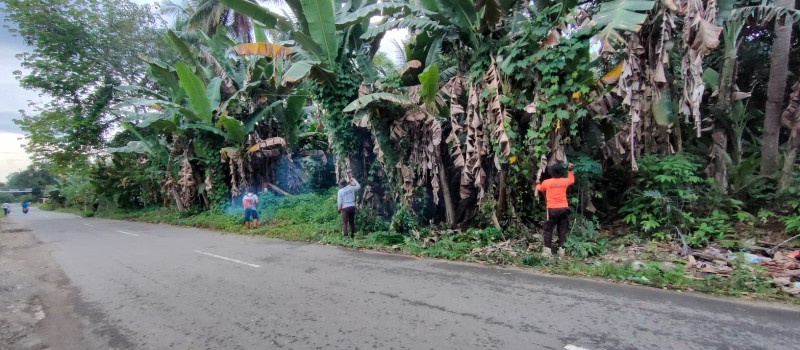 Gotong Royong