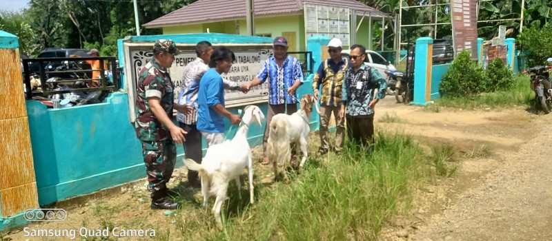 Acara penyerahan Bantuan ternak kambing di Desa Simpung Layung.
